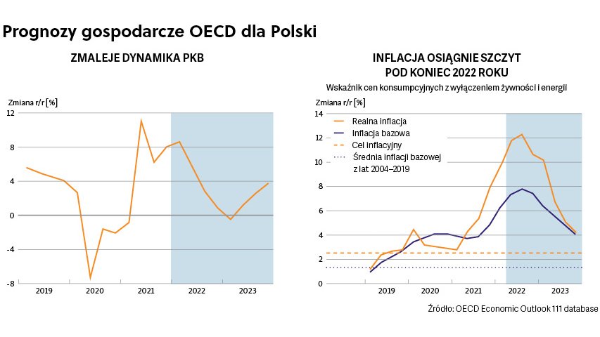 Ekspansja zagraniczna w cieniu wojny i pandemii