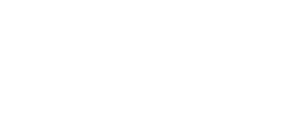 Ican Institute logo 30-lecie