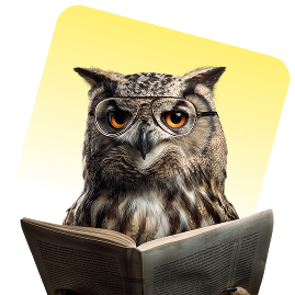 Picture of an owl